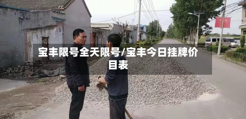 宝丰限号全天限号/宝丰今日挂牌价目表