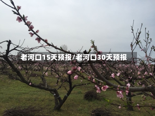 老河口15天预报/老河口30天预报