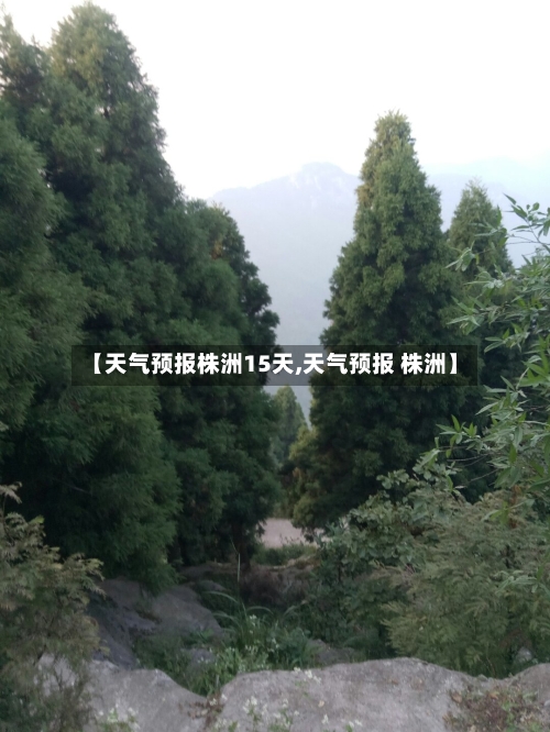 【天气预报株洲15天,天气预报 株洲】