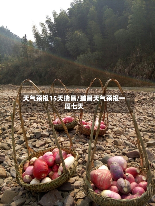 天气预报15天瑞昌/瑞昌天气预报一周七天