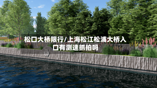 松口大桥限行/上海松江松浦大桥入口有测速抓拍吗