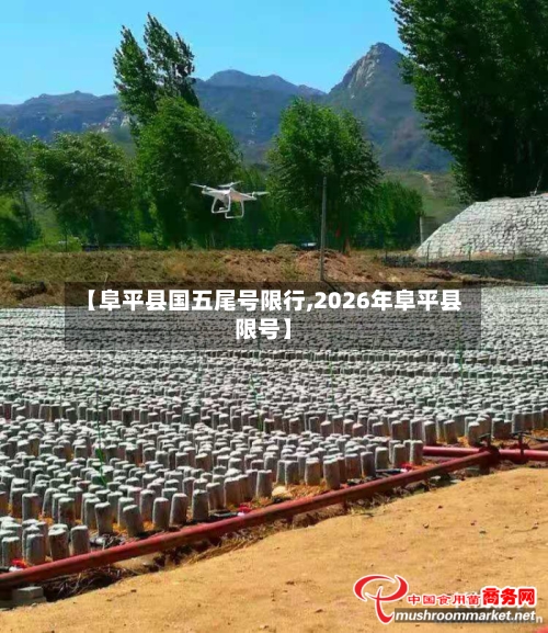 【阜平县国五尾号限行,2026年阜平县限号】