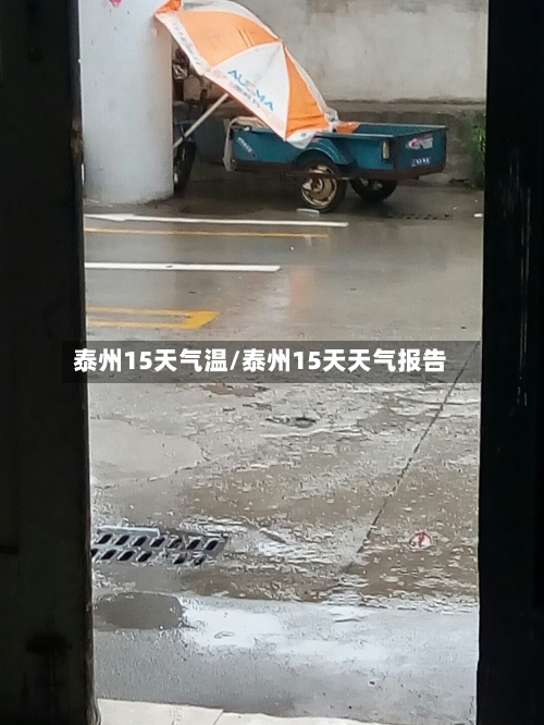 泰州15天气温/泰州15天天气报告