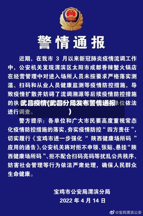 武昌疫情(武昌分局发布警情通报)