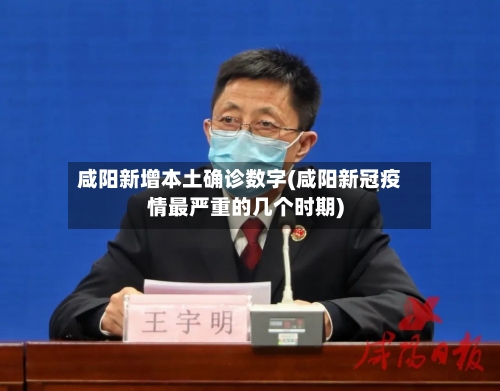 咸阳新增本土确诊数字(咸阳新冠疫情最严重的几个时期)