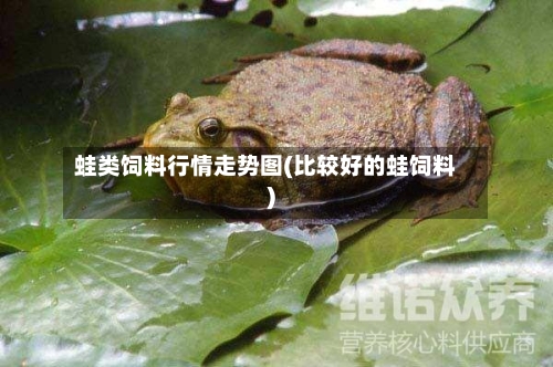 蛙类饲料行情走势图(比较好的蛙饲料)
