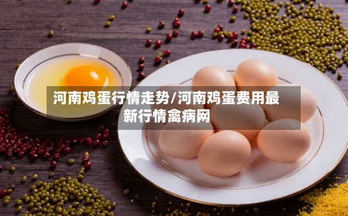 河南鸡蛋行情走势/河南鸡蛋费用最新行情禽病网