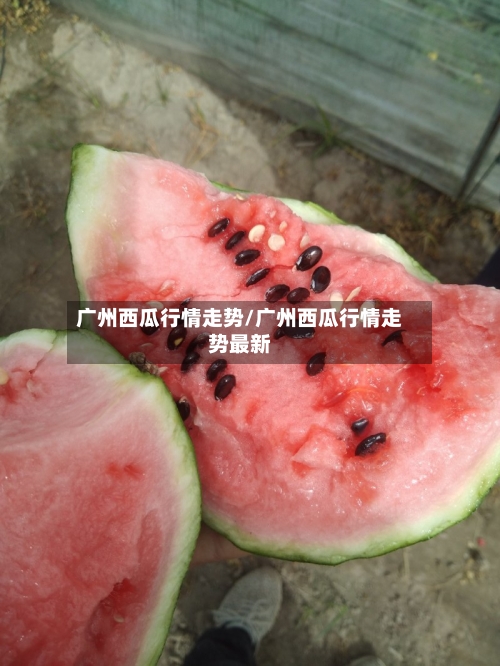广州西瓜行情走势/广州西瓜行情走势最新