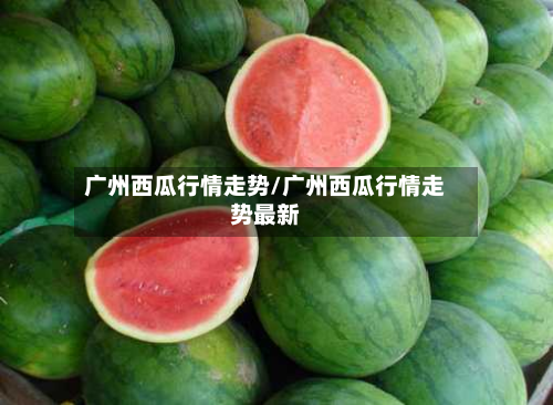 广州西瓜行情走势/广州西瓜行情走势最新