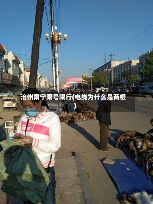 沧州肃宁限号限行(电线为什么是两根)