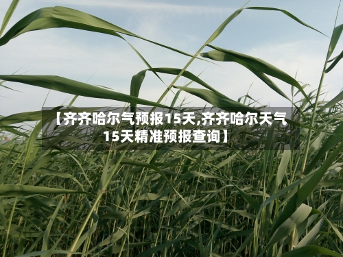 【齐齐哈尔气预报15天,齐齐哈尔天气15天精准预报查询】