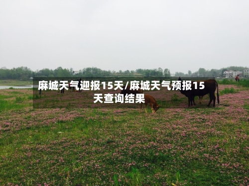 麻城天气迎报15天/麻城天气预报15天查询结果