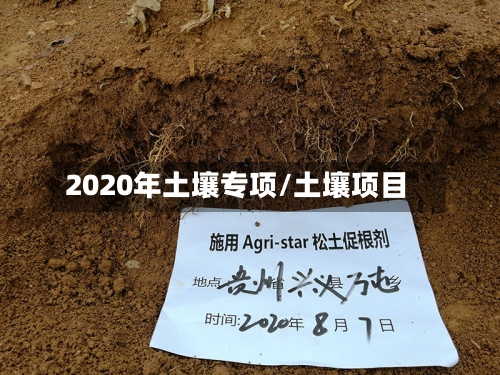2020年土壤专项/土壤项目