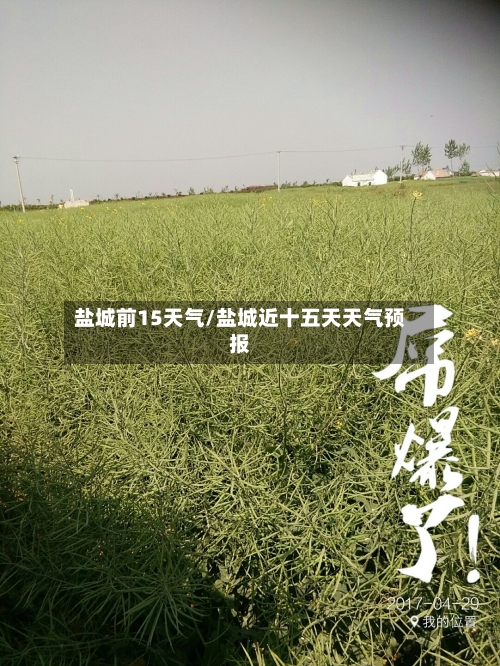 盐城前15天气/盐城近十五天天气预报