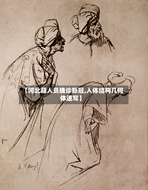 【河北籍人员确诊新冠,人体结构几何体速写】