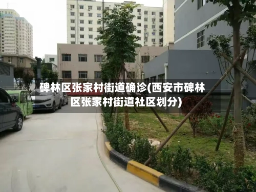 碑林区张家村街道确诊(西安市碑林区张家村街道社区划分)