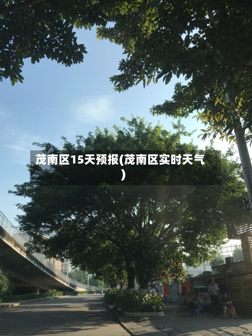 茂南区15天预报(茂南区实时天气)