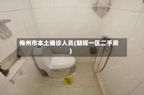 梅州市本土确诊人员(朝晖一区二手房)