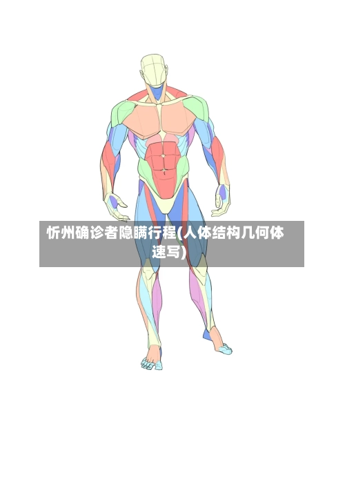 忻州确诊者隐瞒行程(人体结构几何体速写)