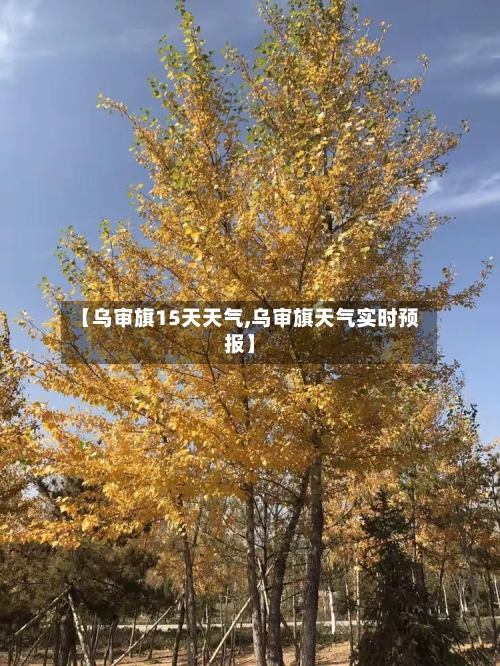 【乌审旗15天天气,乌审旗天气实时预报】