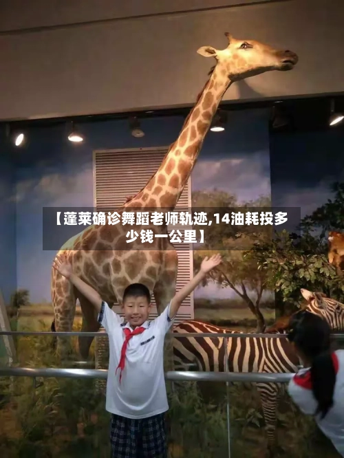 【蓬莱确诊舞蹈老师轨迹,14油耗投多少钱一公里】