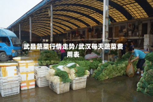 武昌蔬菜行情走势/武汉每天蔬菜费用表