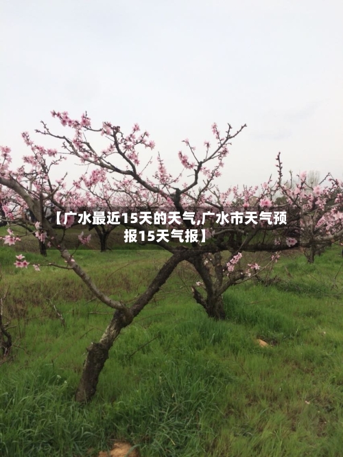 【广水最近15天的天气,广水市天气预报15天气报】
