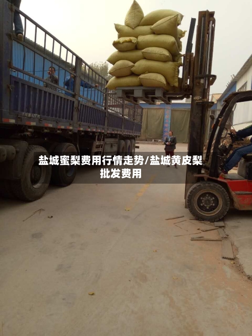 盐城蜜梨费用行情走势/盐城黄皮梨批发费用
