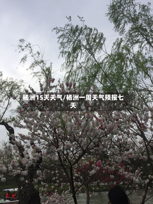 杨洲15天天气/杨洲一周天气预报七天