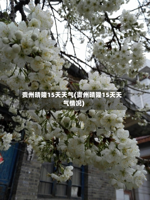 贵州晴隆15天天气(贵州晴隆15天天气情况)