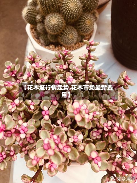 【花木城行情走势,花木市场最新费用】