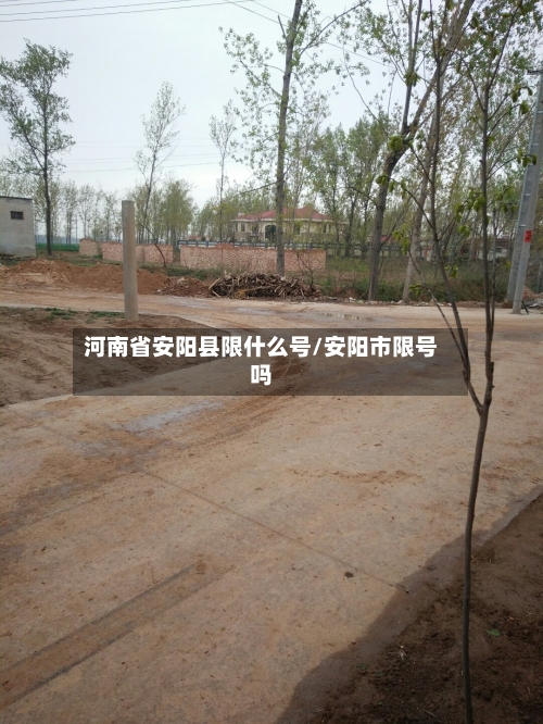 河南省安阳县限什么号/安阳市限号吗