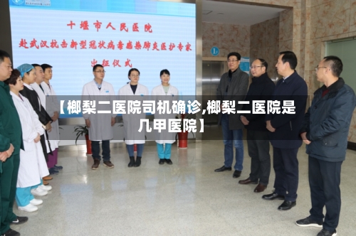 【榔梨二医院司机确诊,榔梨二医院是几甲医院】