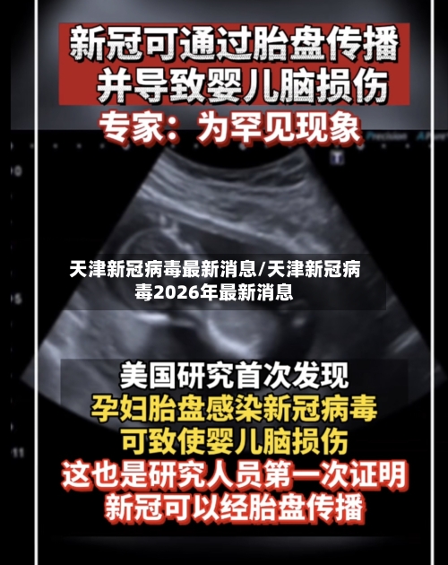 天津新冠病毒最新消息/天津新冠病毒2026年最新消息