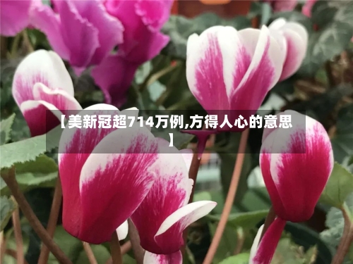 【美新冠超714万例,方得人心的意思】