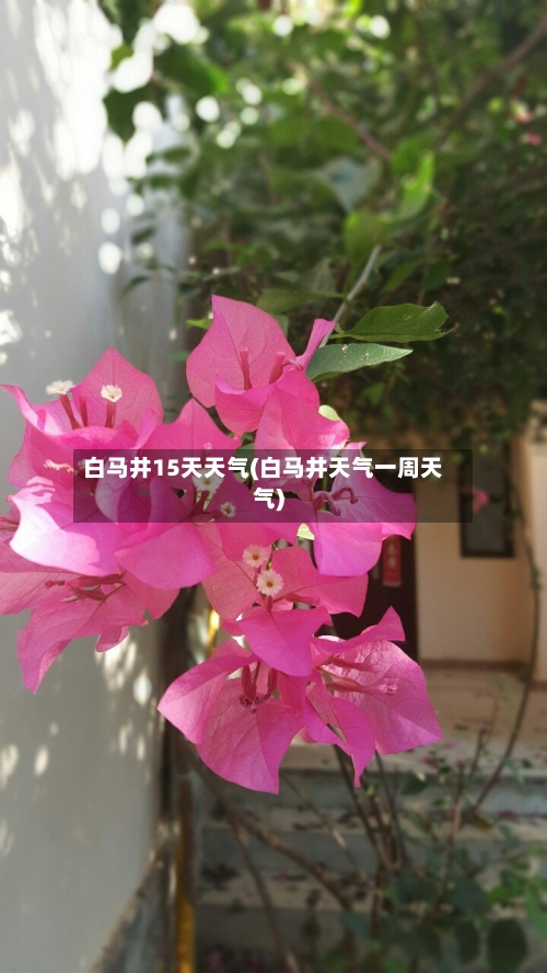 白马井15天天气(白马井天气一周天气)