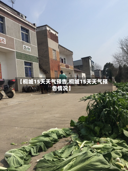 【桐城15天天气预告,桐城15天天气预告情况】