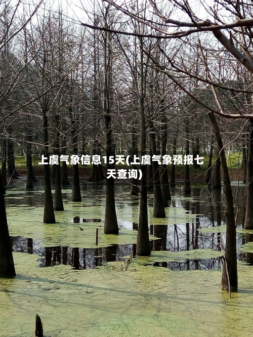 上虞气象信息15天(上虞气象预报七天查询)