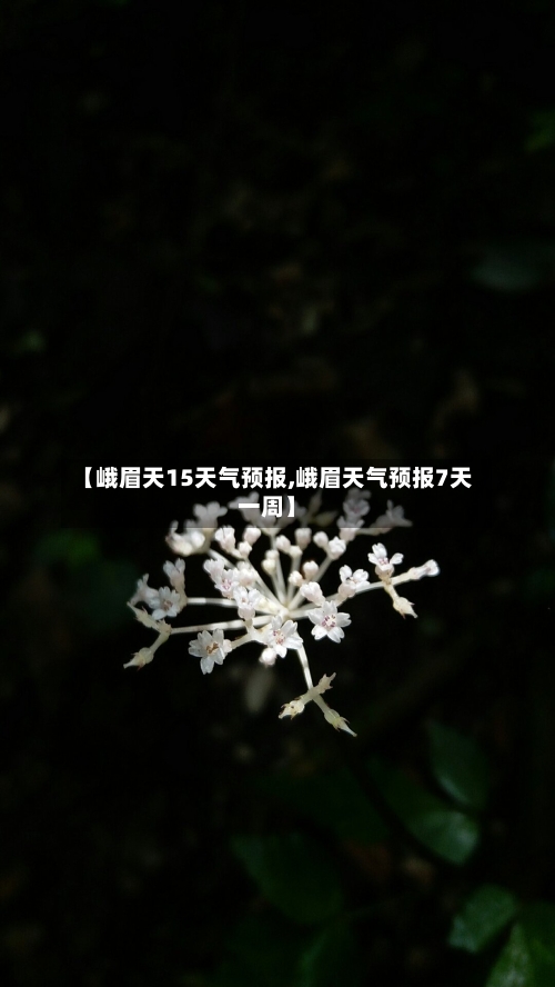 【峨眉天15天气预报,峨眉天气预报7天一周】