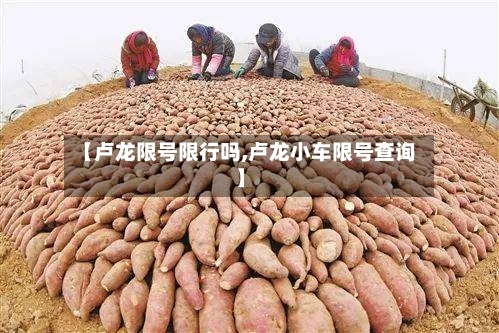 【卢龙限号限行吗,卢龙小车限号查询】
