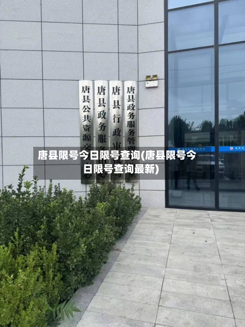 唐县限号今日限号查询(唐县限号今日限号查询最新)
