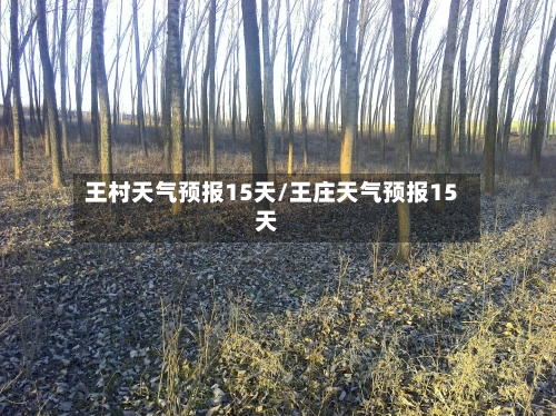 王村天气预报15天/王庄天气预报15天