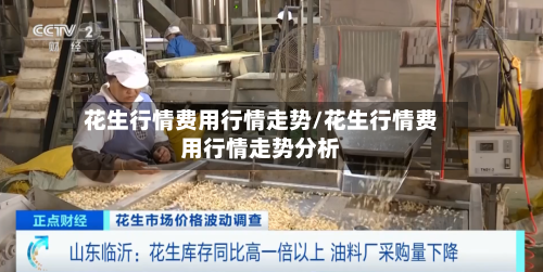 花生行情费用行情走势/花生行情费用行情走势分析