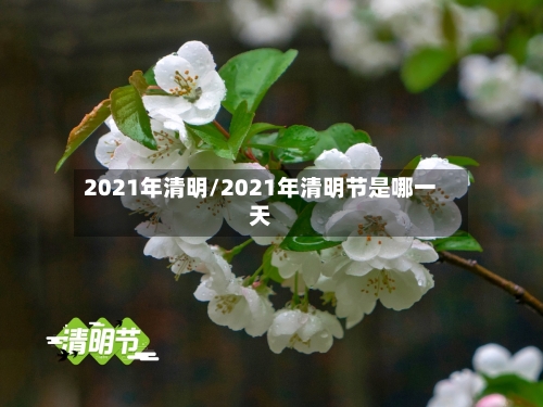 2021年清明/2021年清明节是哪一天