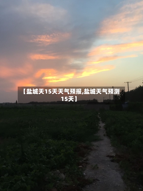 【盐城天15天天气预报,盐城天气预测15天】