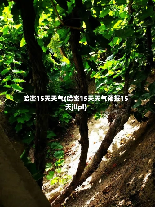 哈密15天天气(哈密15天天气预报15天jllpl)