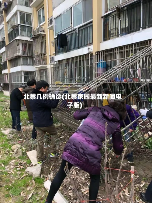 北蔡几例确诊(北蔡家园最新新闻电子版)
