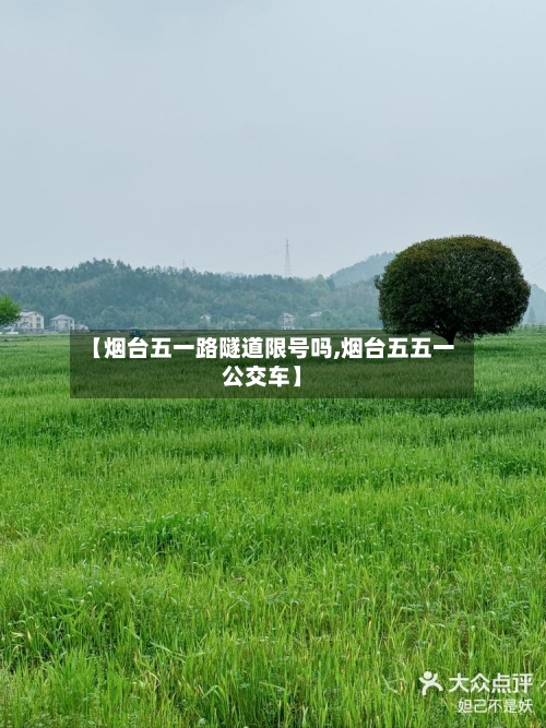 【烟台五一路隧道限号吗,烟台五五一公交车】