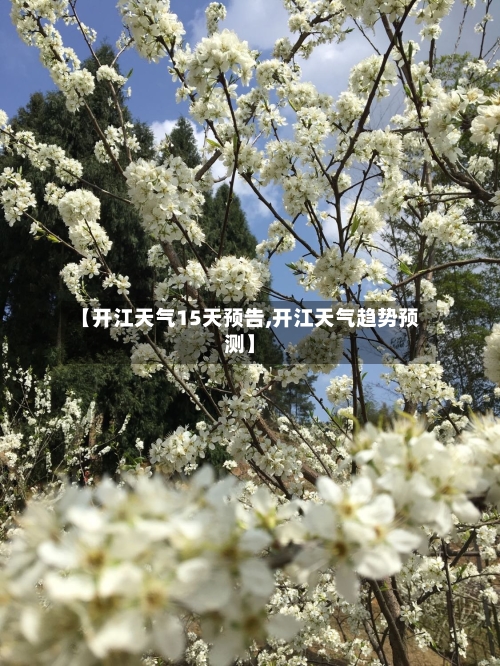 【开江天气15天预告,开江天气趋势预测】