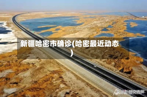 新疆哈密市确诊(哈密最近动态)